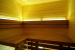 Sauna bench materials NEW PRODUCTS THERMO ASPEN BENCH WOOD SHP 28x120x1200-2400mm